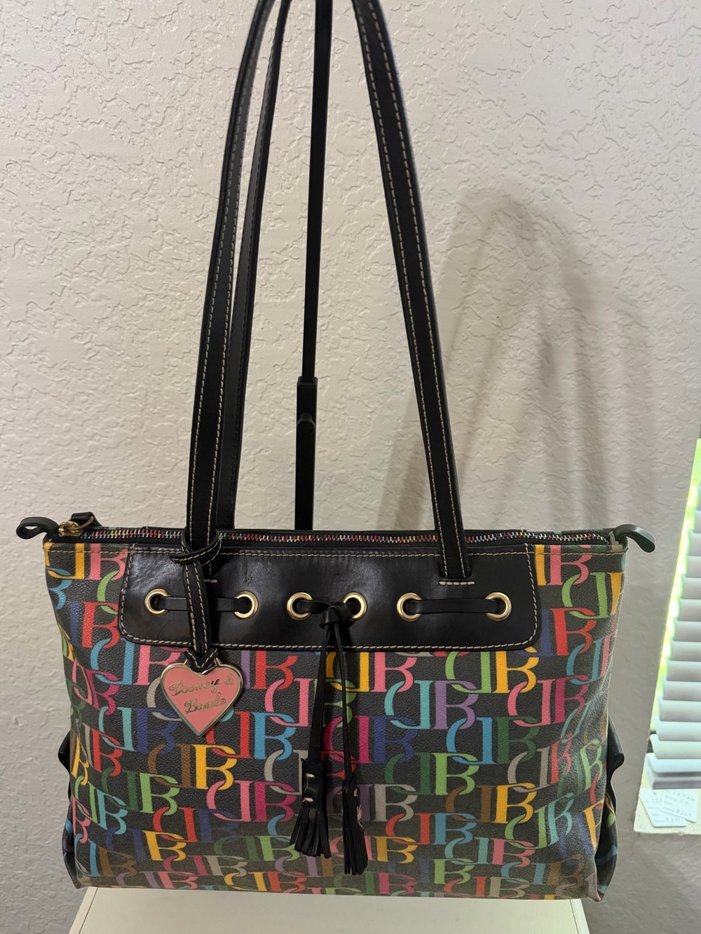 Dooney & Bourke Rainbow Bag
